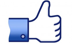 FACEBOOK-LIKE