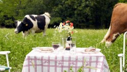 Foodfilmfest2-580x333