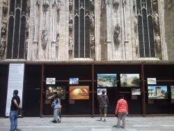 IMG-20150524
