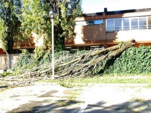 Via Liguria Buccinasco MI