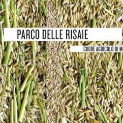 Parco-risaie-sito1