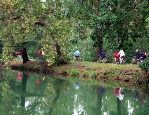 biciclettata-nel-verde