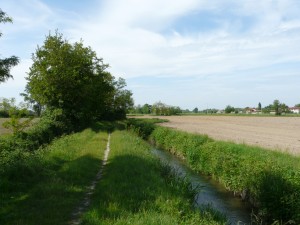 Buccinasco parco sud