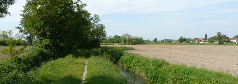 Buccinasco parco sud