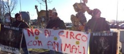 circo assago