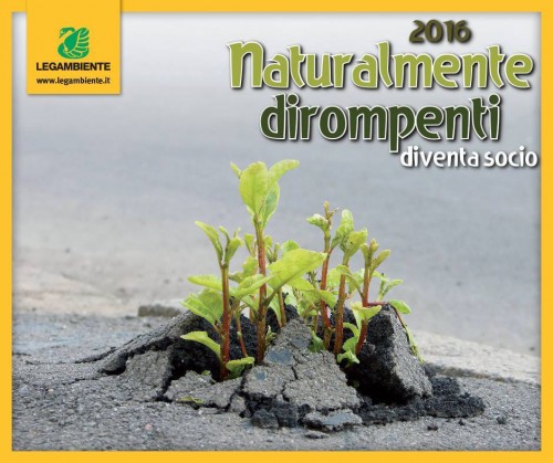 dirompe