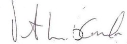 firma rino