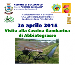 gamba