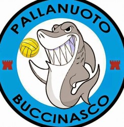 palla1