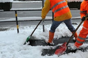 spalare-neve