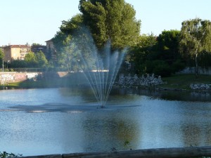 spina azzurra Buccinasco MI