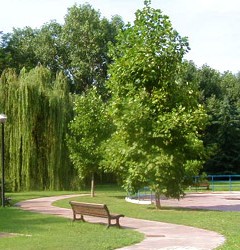 verde-pubblico-e1371053421905